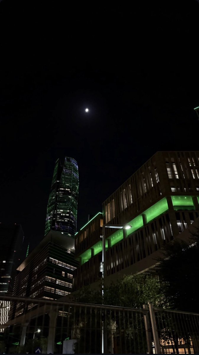 gorerl35's tweet photo. #اليوم_الوطني_٩٦ 💚💚🇸🇦 https://t.co/3AUcdYE5PX