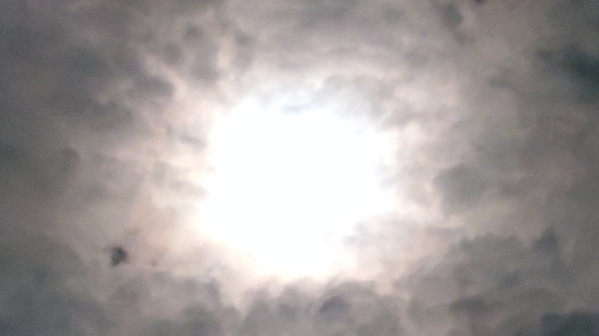 yukari_white's tweet photo. おのれ秋雨前線:( ‘ᾥ’ ꐦ): https://t.co/q4sbV6k8dw