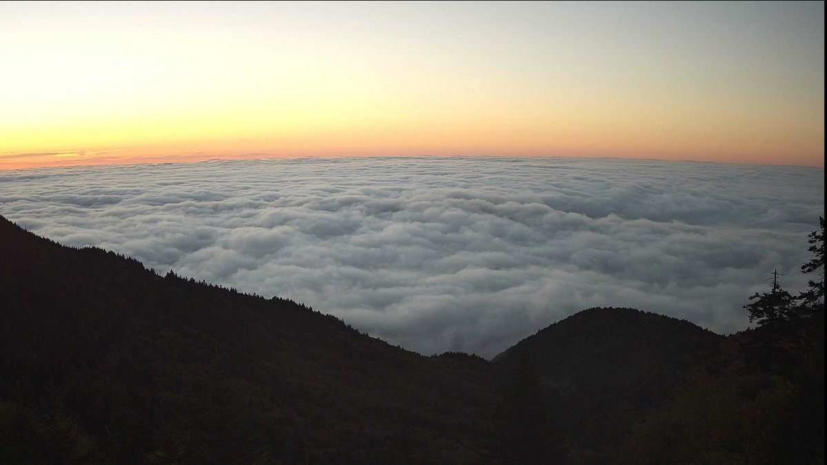 MeghanDanahey's tweet photo. We're looking down at a lot cloud cover trapped in the valleys early. Just a GORGEOUS Friday to Sunday expected with very lots of sunshine. Chilly mid-40s early over the weekend, but mid-70s each afternoon! #wncwx #avlwx #ncwx @WLOS_13 https://t.co/nOwcl6E3wJ https://t.co/y66T3rYnG9
