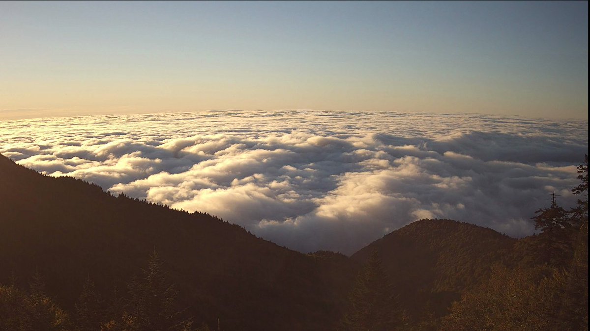 MeghanDanahey's tweet photo. We're looking down at a lot cloud cover trapped in the valleys early. Just a GORGEOUS Friday to Sunday expected with very lots of sunshine. Chilly mid-40s early over the weekend, but mid-70s each afternoon! #wncwx #avlwx #ncwx @WLOS_13 https://t.co/nOwcl6E3wJ https://t.co/y66T3rYnG9