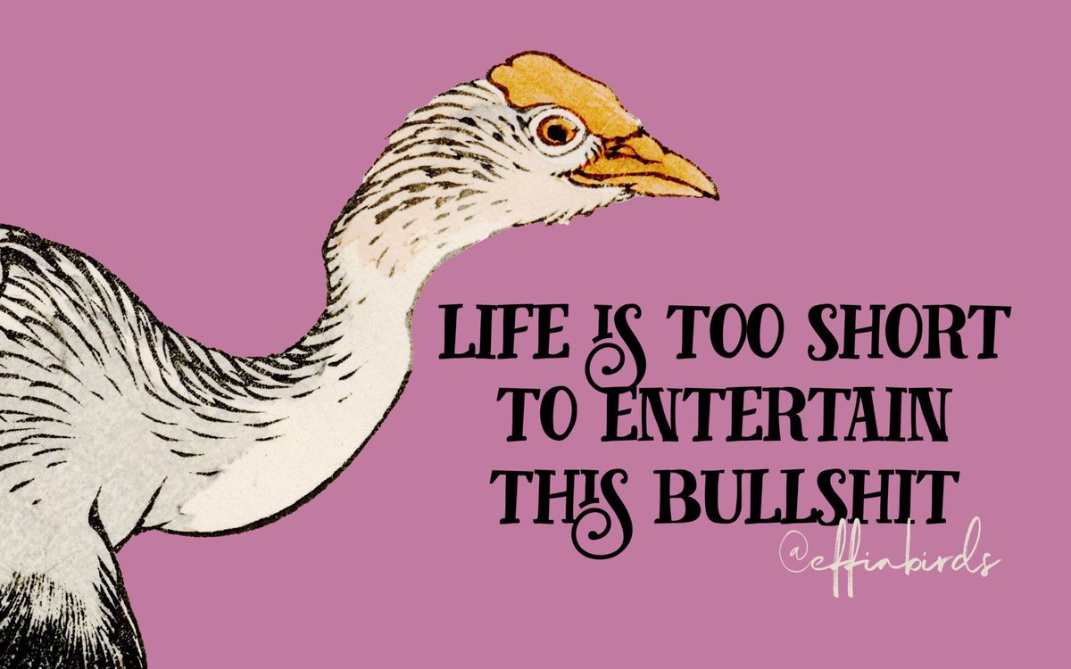EffinBirds's tweet photo. https://t.co/kTtZGbC85K