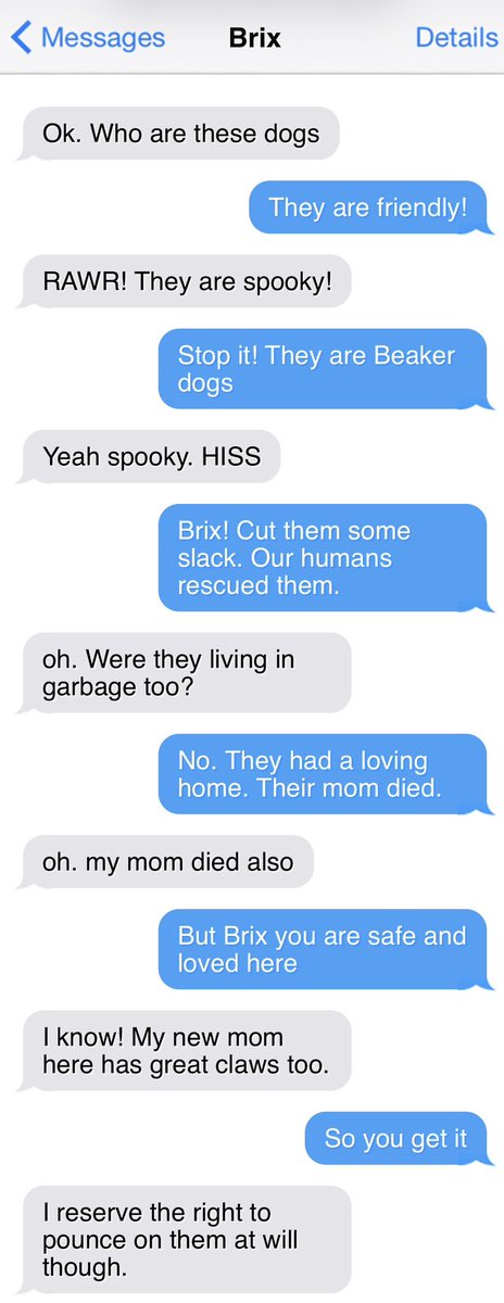 bunsenbernerbmd's tweet photo. Two new family members have joined the pack under very tough circumstances.

What does that mean for:

During the week a dog named Bunsen texts his family.

Those texts are saved.

Today they are shared.

This is Texts From Bunsen! https://t.co/joEQxGR6Xj