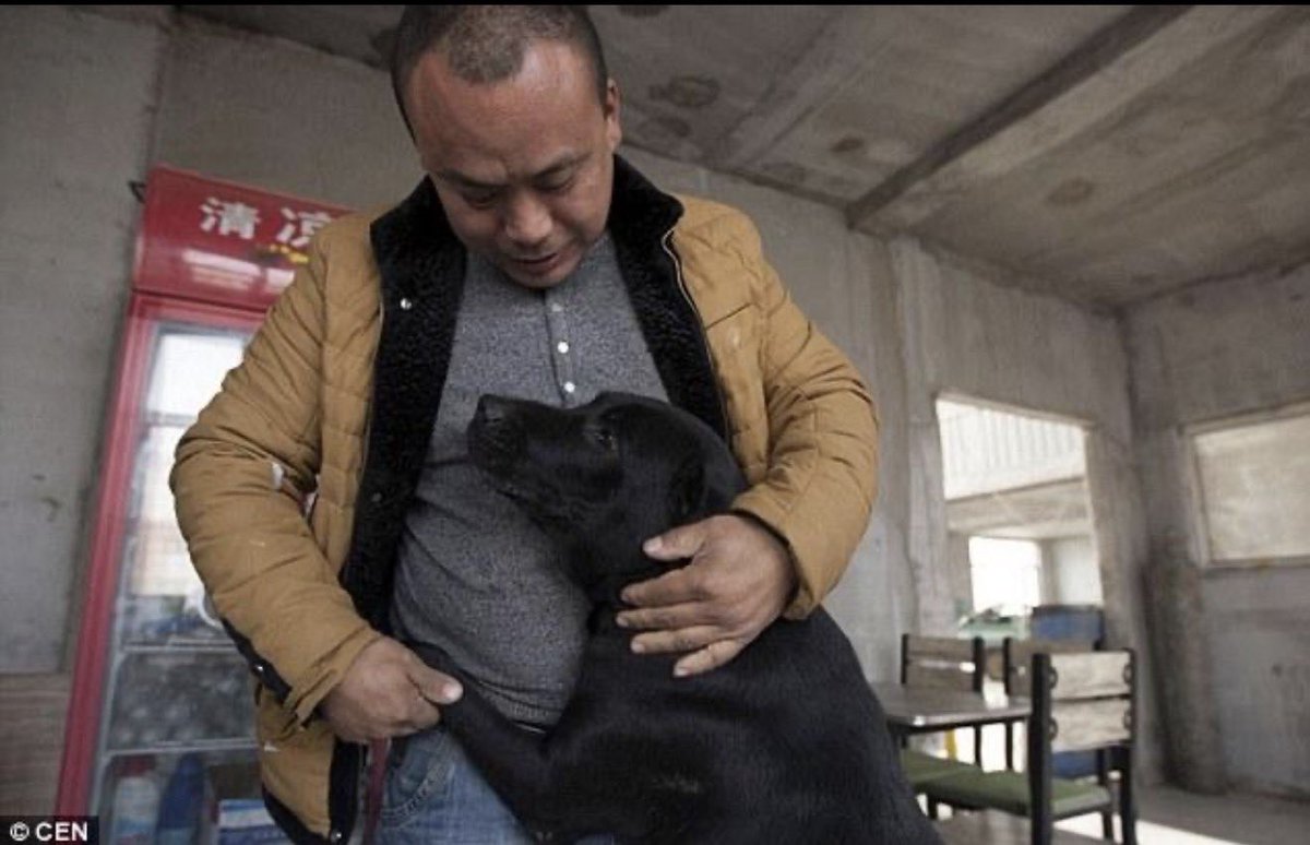 ayn852's tweet photo. HE LOST HIS DOG. THEN HE SPENT HIS FORTUNE SAVING THOUSANDS MORE. 🇨🇳🐕

Meet Wang Yan.

He was a successful businessman in China, reportedly worth millions of RMB.

Then, in 2012, his beloved dog disappeared.

Wang searched everywhere. Eventually, someone suggested he look at a local dog slaughterhouse.

He never found his dog.

But what he saw there changed his life.

Wang began rescuing dogs facing slaughter and abandonment.

And he kept going.

He poured nearly RMB 3 million of his own money into rescuing, feeding and caring for dogs.

Eventually, the millionaire had reportedly burned through his fortune.

Chinese media reported that by 2015 he was struggling even to finish shelters for more than 200 dogs before winter, buying construction materials on credit.

He still kept going.

By 2016, Chinese media reported that he had taken in thousands of dogs.

Think about that.

He went looking for one dog he loved.

He never found him.

So he dedicated himself to saving thousands of others.

This is why the Wang Wang movement should never be framed as the West versus China.

China has its own animal rescuers.

China has its own animal lovers.

China has people who have sacrificed extraordinary amounts to protect animals.

Compassion is not foreign to China.

People like Wang Yan prove it.

And people like him deserve laws that stand behind them. 🇨🇳❤️🐕

#JusticeForWangWang #旺旺 #ワンワン #WangWang