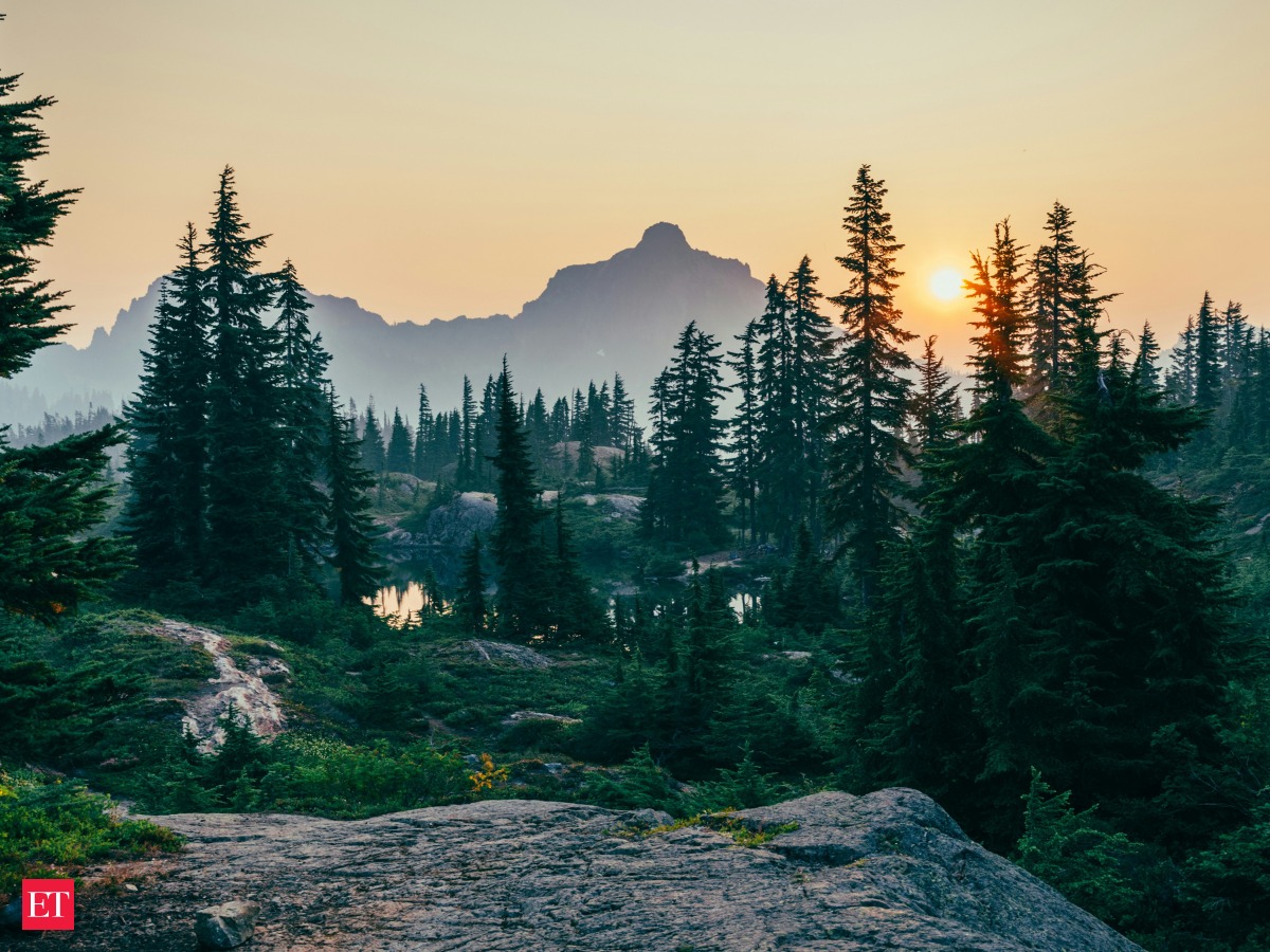RareBeeax2's tweet photo. The hills spills over like it ain't in a hurry. 🌲. Time smooths the rough edges. https://t.co/G2ovilGnL2