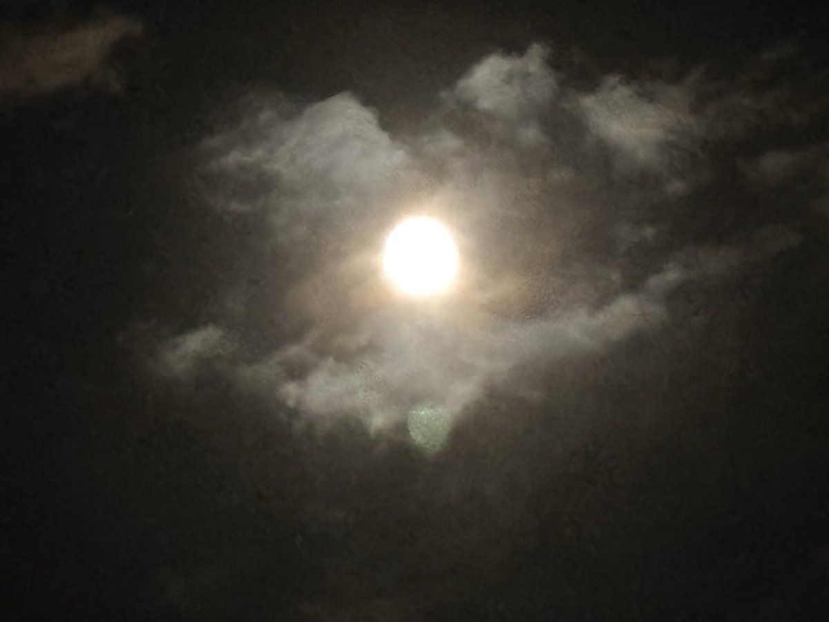 ryuchanBus's tweet photo. 中秋の名月

🌕

#月 https://t.co/Z7YGkXPCkq