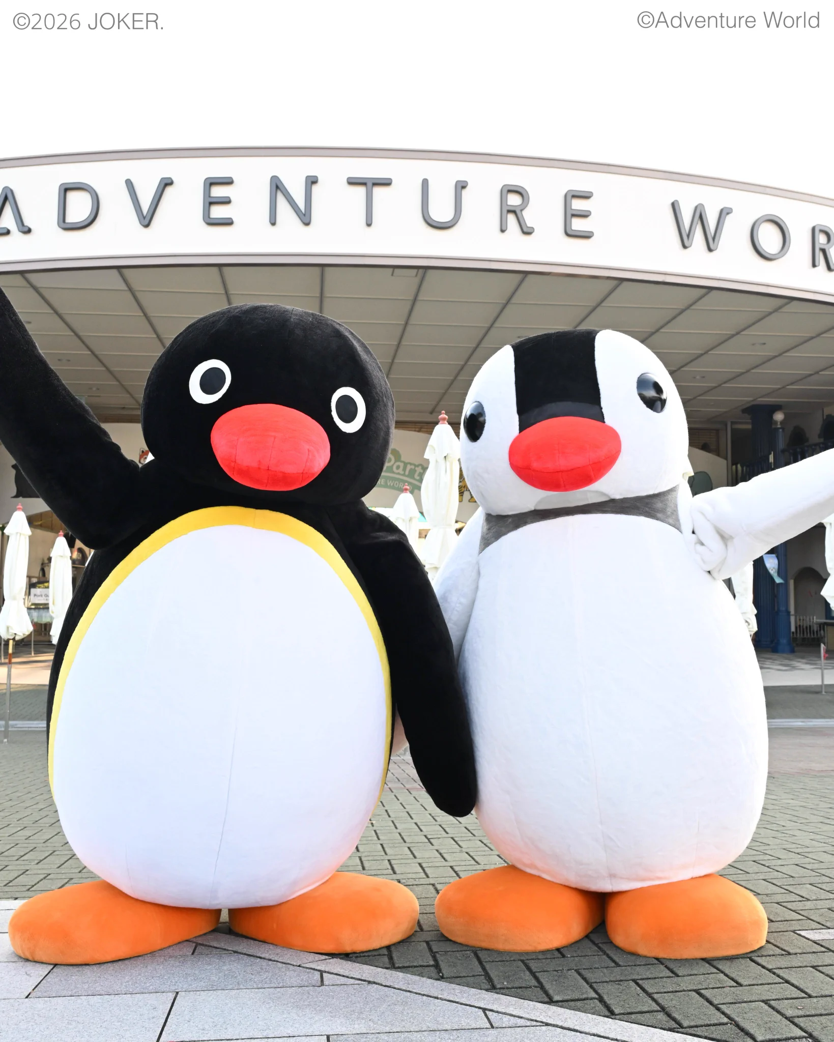 pingu_jp (@pingu_jpn) / X