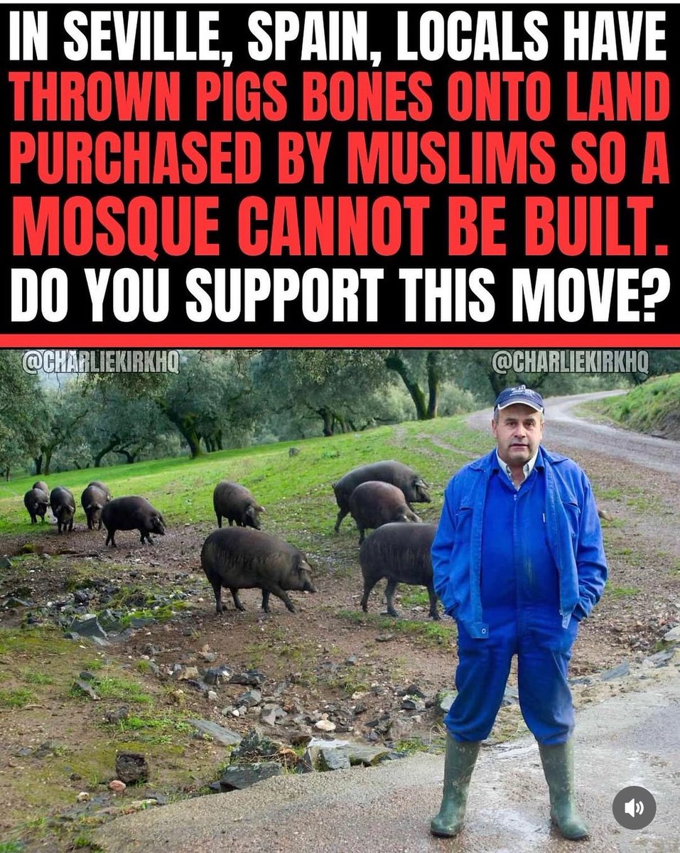 FloraLuzz_'s tweet photo. In Seville, locals dumped pig bones on land bought for a mosque so it couldn’t be built.
Do you support this? https://t.co/UlYWNhowOe