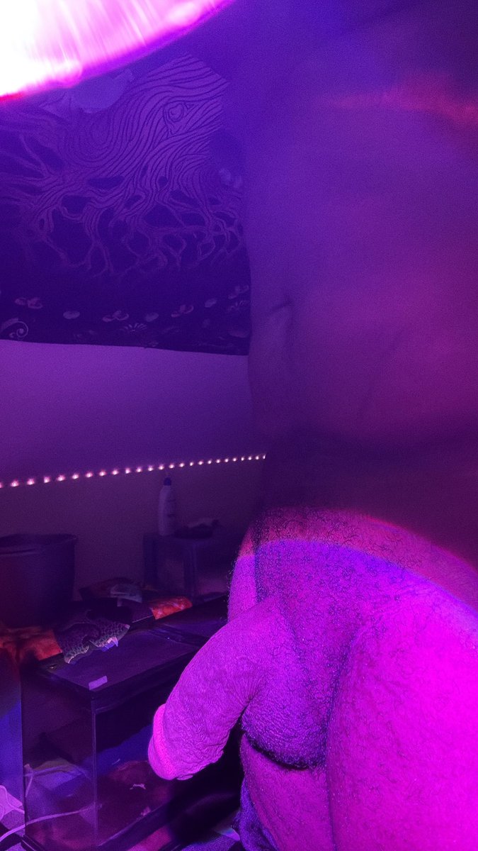 PrinceWBbc's tweet photo. Even with it completely soft you’d still struggle to fit it all in your mouth https://t.co/tKPFy2fZkY