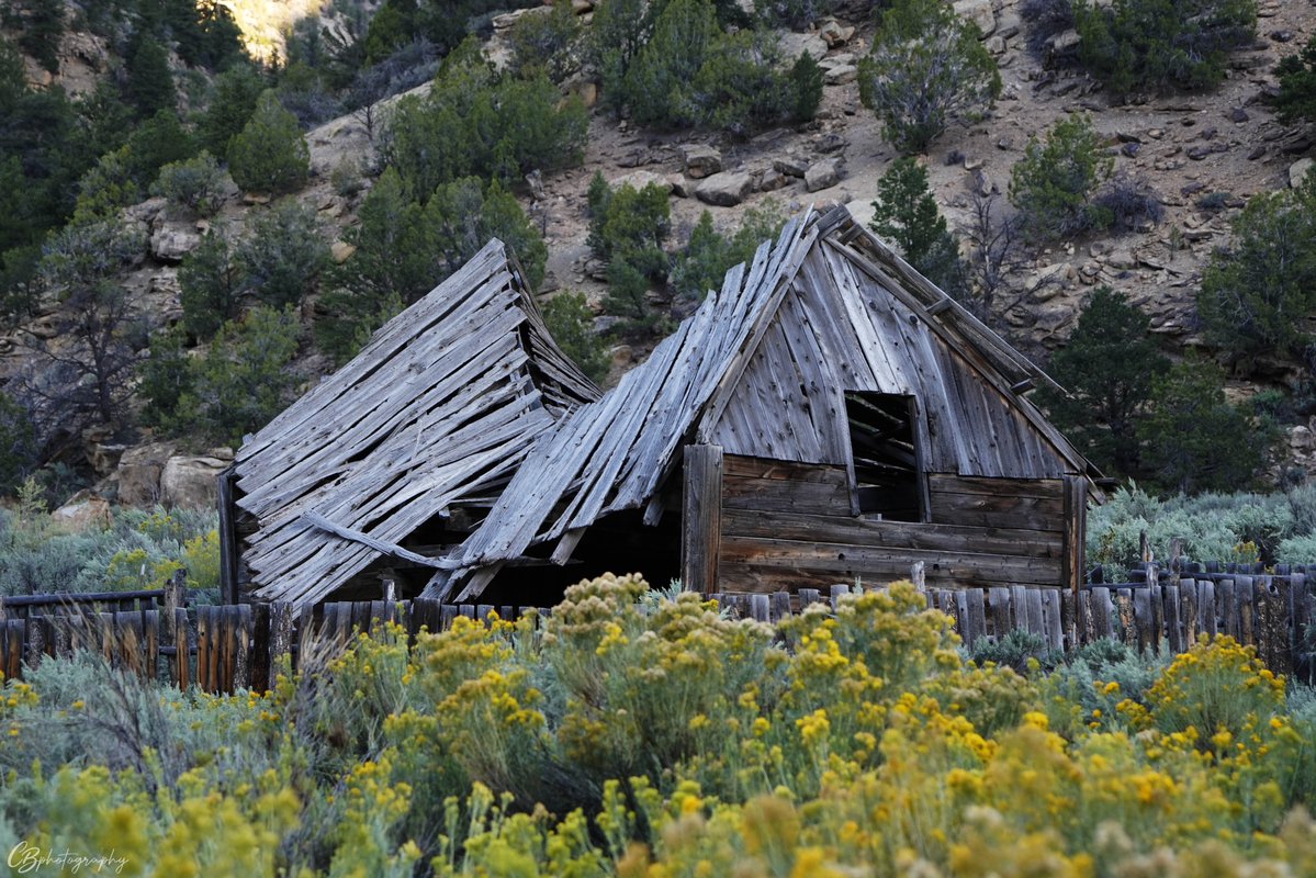ChrisBartelSWR's tweet photo. Nine Mile Canyon, #Utah 2026
For me, photography has never been about simply capturing a place. It’s about slowing down enough to understand what the land is showing you. https://t.co/0vLc0qsO24