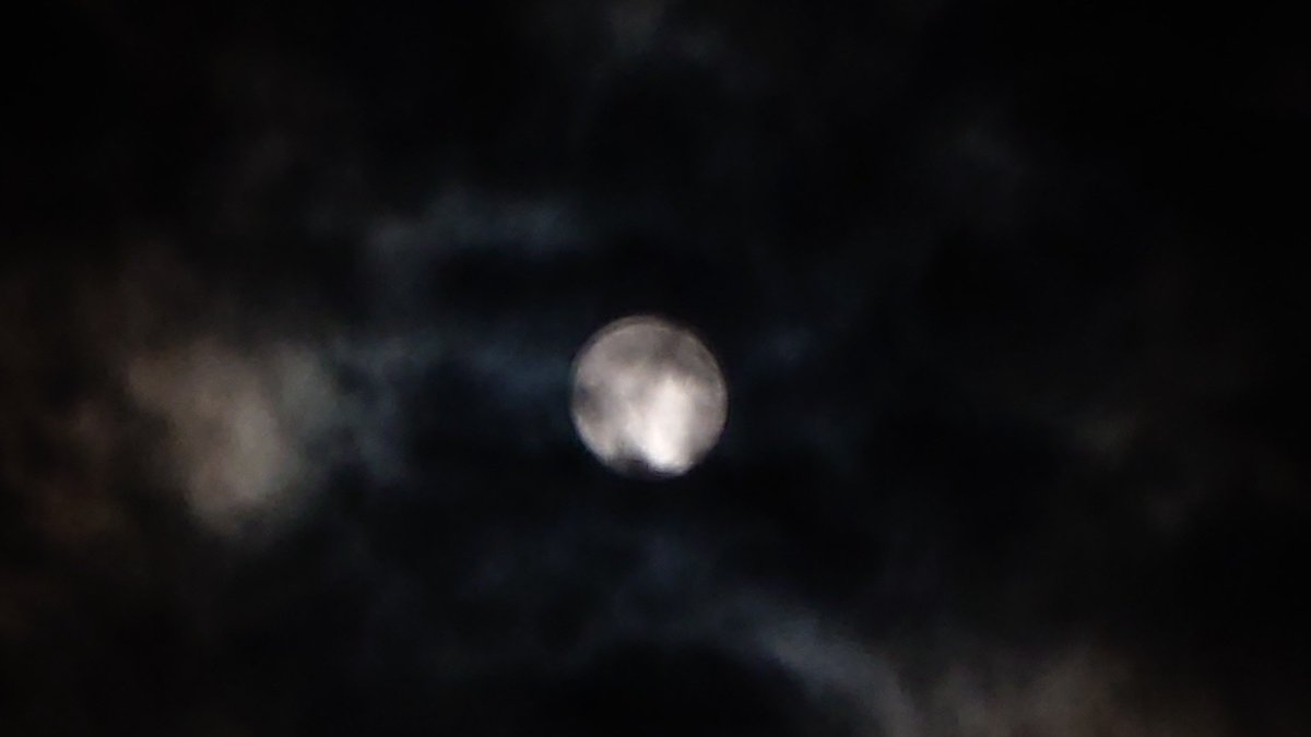 yukari_white's tweet photo. 中秋の煙月さんでした🐇🌕☁*° https://t.co/us7PWNVcro