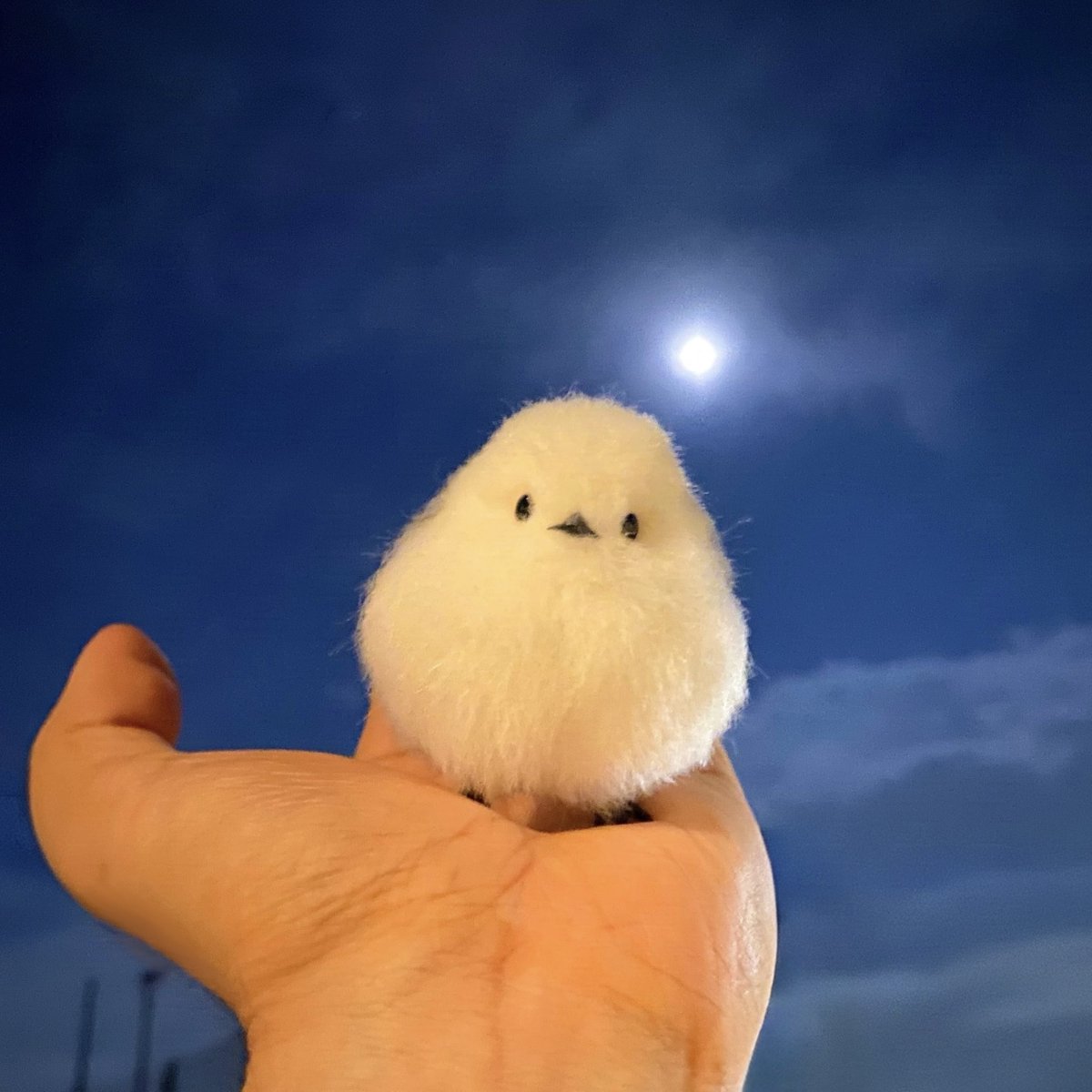 re_prdct's tweet photo. 中秋の名月とシマエナガ🌕️ https://t.co/y4weQ4KYAv