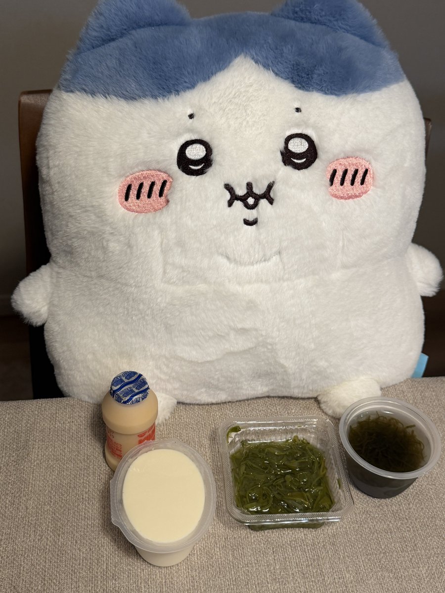 nsho_chiikawa's tweet photo. ただいま、ハチワレ
ご飯だよ
#ぬい撮り
#みなワレ https://t.co/qhdv6rI3e8
