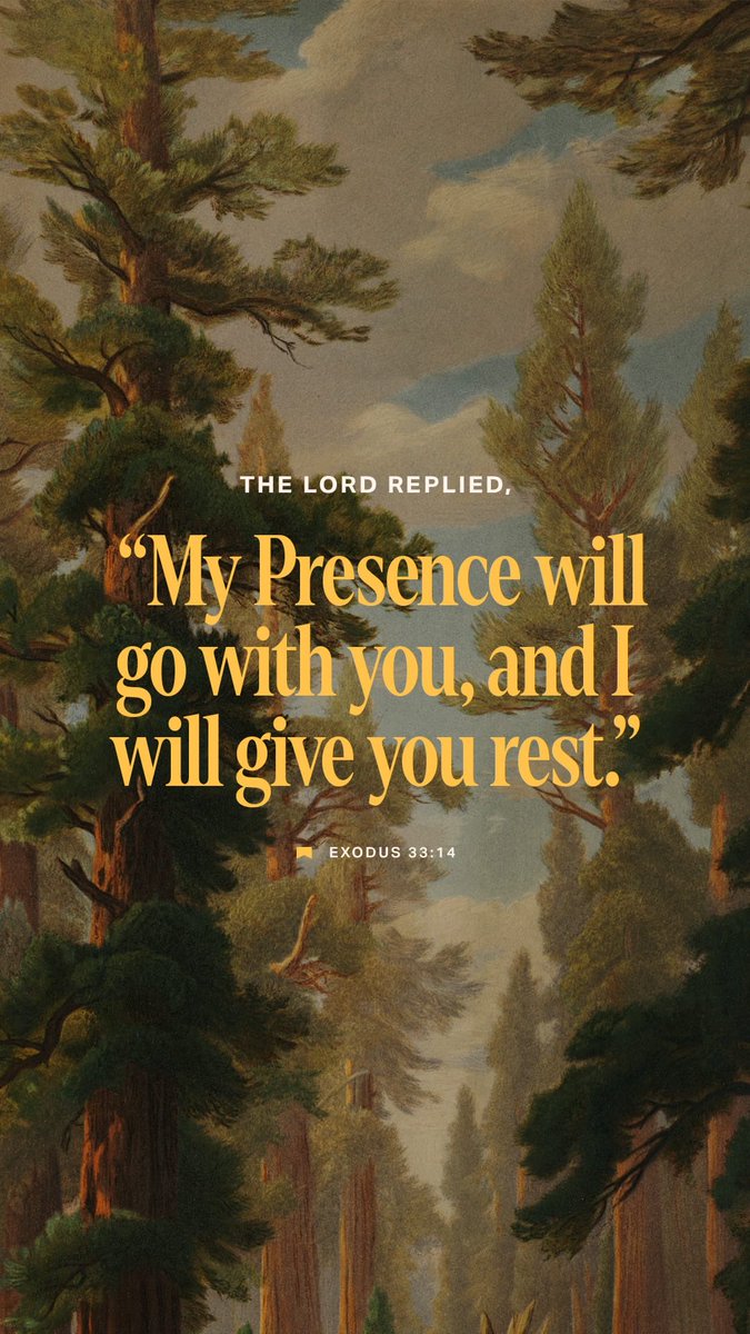 Traethetrue's tweet photo. Happy Friday, everyone! ☀️ Wishing you  all a day of love, peace, and joy! Always Keep God First! ❤️🙏🏽 https://t.co/Tv3vnX55af