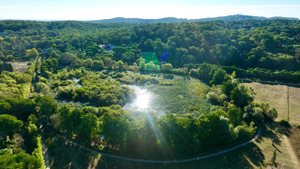 villedemougins's tweet photo. ☀️ Le week-end est là !

On profite du soleil, on prend l’air… et on recharge les batteries.
Bon week-end à tous les Mouginois ! 😎

#Mougins #BonWeekEnd #MouginsMaVille https://t.co/NjeKVZS8oX