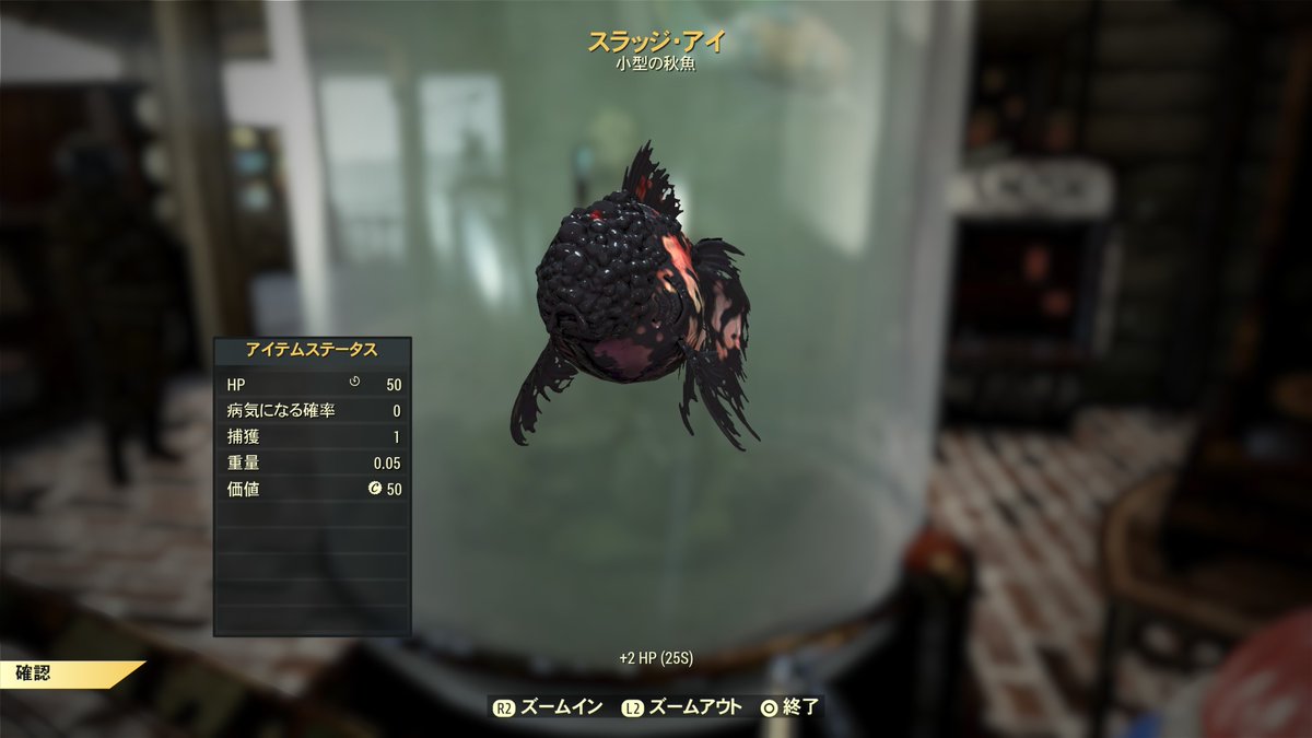 gamufin016's tweet photo. 秋魚の大物？……も無事釣り上げれた
 
夏の大物間違えて生のまま食べてしまったから保険としてあと1匹は釣りたいな

4匹とか10匹とか入る特大水槽でないかなぁ
ウーパールーパー全種泳がせてみたい https://t.co/8VUDbcKcHK