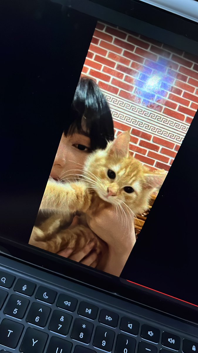 Royanalfian30's tweet photo. 💛🐈 @A_VirgiJKT48
#AstrelLive https://t.co/leND4rNCtX