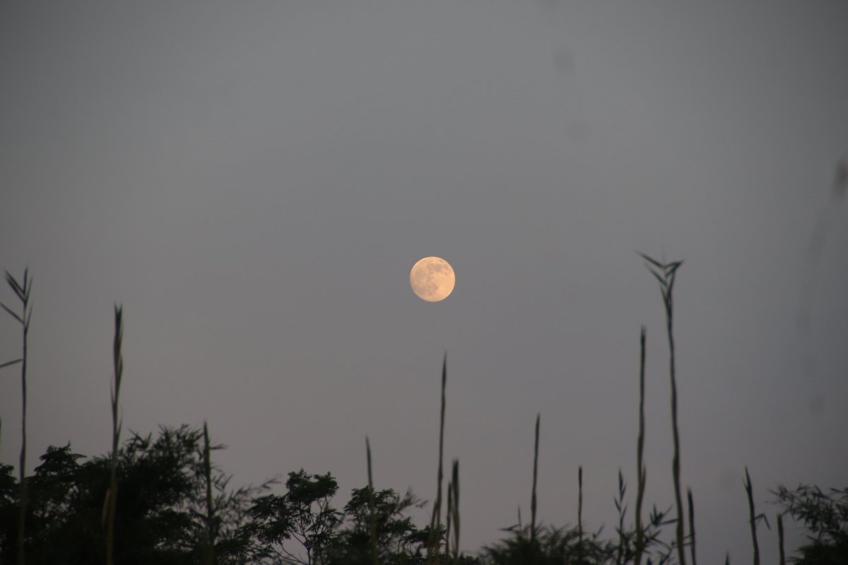 Liaocan1's tweet photo. 歲歲中秋，夜夜月明。有人團圓燈火，有人獨行晚風，不變的是，這輪皓月，溫柔包容人間所有悲歡。
#中秋月圓
#懸月
#中秋節快樂 https://t.co/RI5pbOVLEO