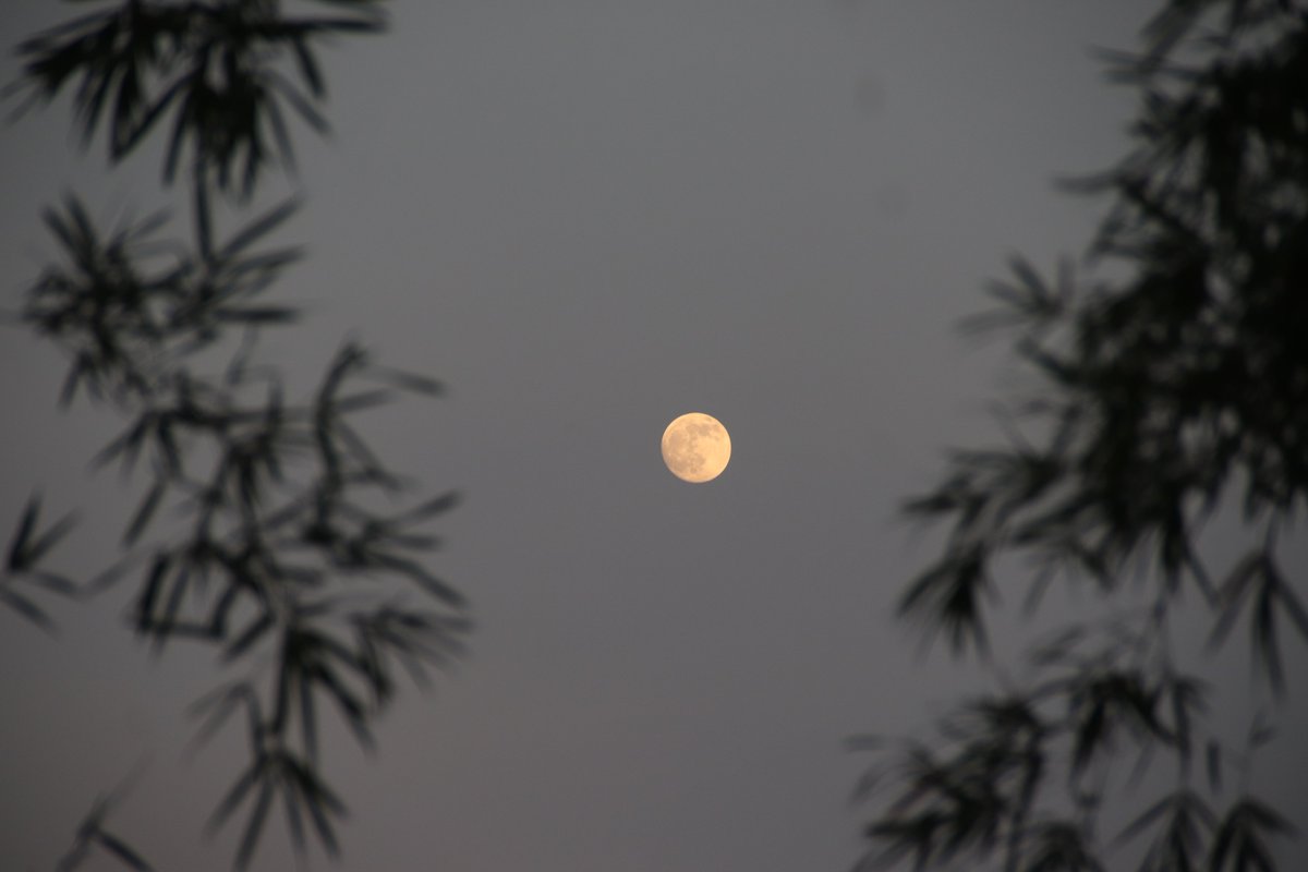Liaocan1's tweet photo. 歲歲中秋，夜夜月明。有人團圓燈火，有人獨行晚風，不變的是，這輪皓月，溫柔包容人間所有悲歡。
#中秋月圓
#懸月
#中秋節快樂 https://t.co/RI5pbOVLEO