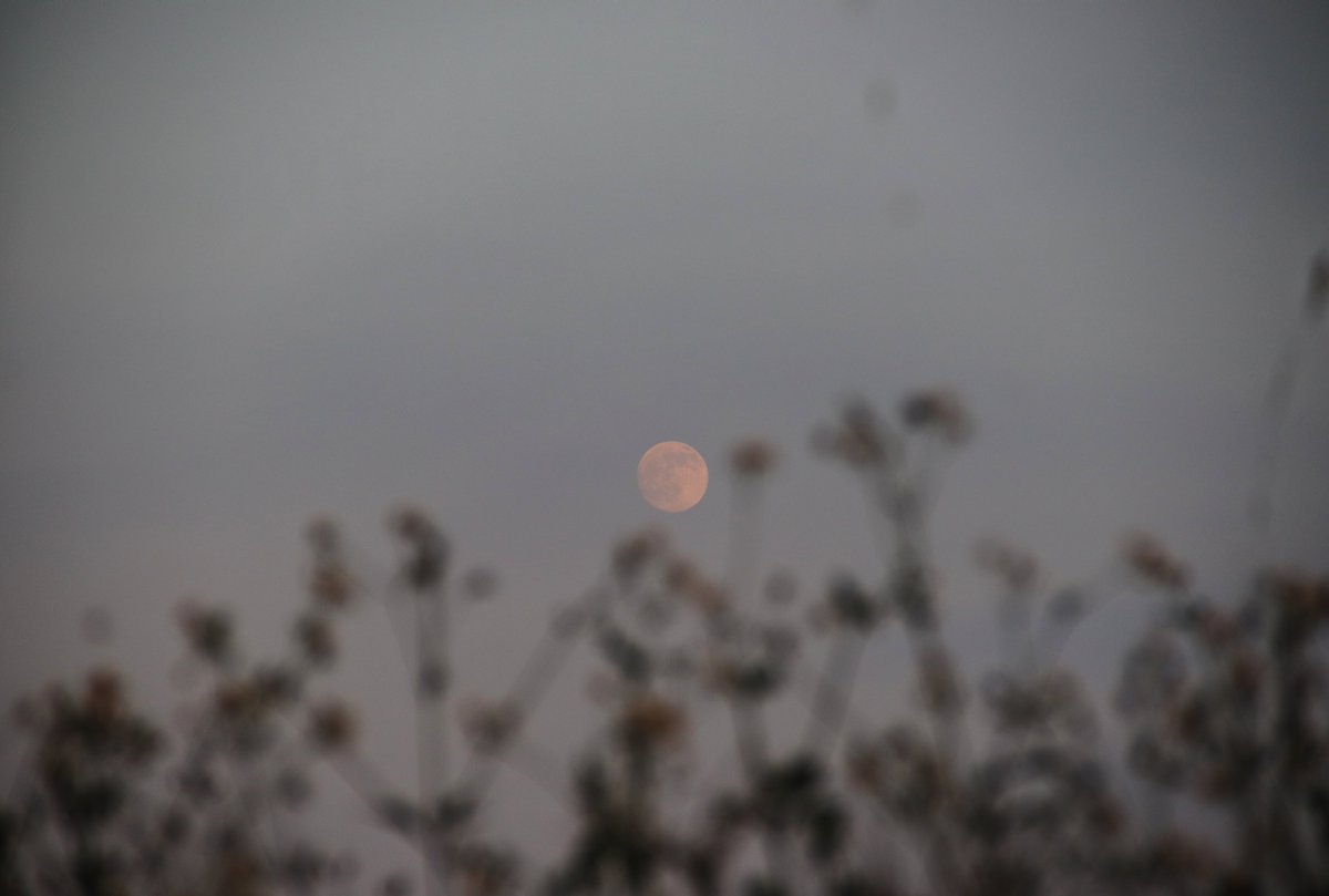 Liaocan1's tweet photo. 歲歲中秋，夜夜月明。有人團圓燈火，有人獨行晚風，不變的是，這輪皓月，溫柔包容人間所有悲歡。
#中秋月圓
#懸月
#中秋節快樂 https://t.co/RI5pbOVLEO