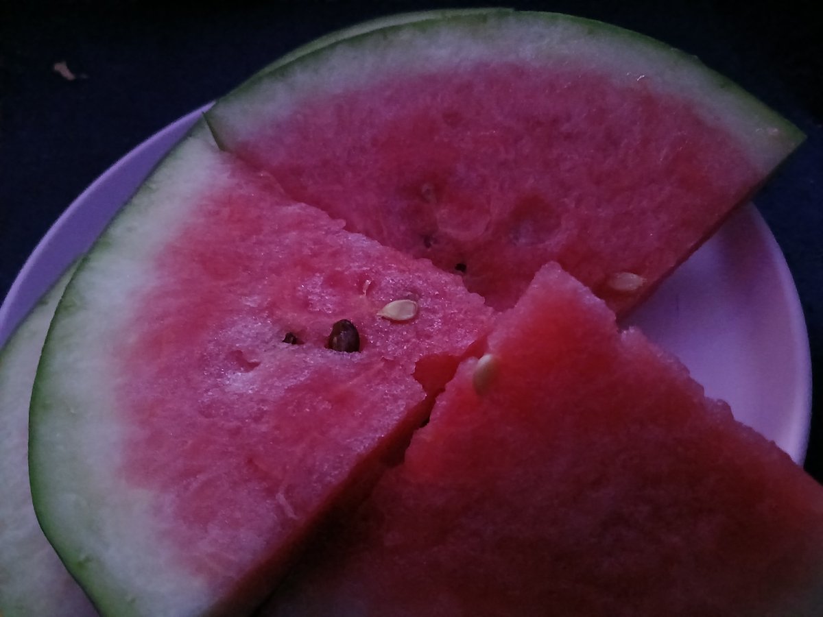 BreadolphinFan's tweet photo. watamelon.... https://t.co/ECthjOcMyg
