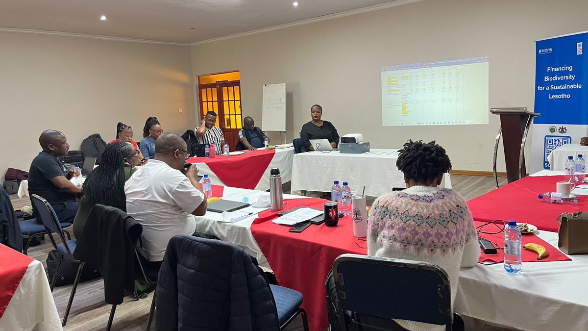 UNDPLesotho's tweet photo. The BIOFIN Team — UNDP, the Ministry of Environment &amp; Forestry, and the Ministry of Finance &amp; Development Planning, held a 2-day workshop with the NBSAP Steering Committee.
The session explored BIOFIN’s contribution to NBSAP Target 19 on biodiversity resource mobilisation. https://t.co/NHoFoEEtk2
