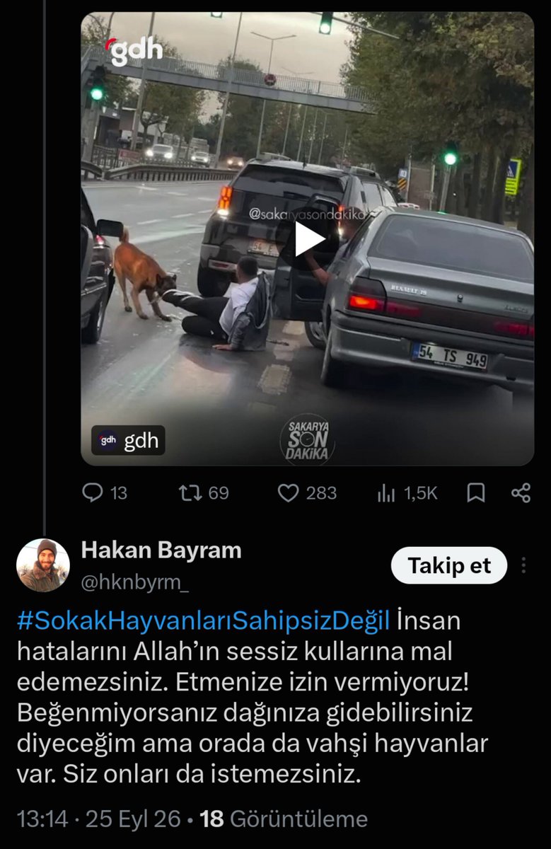 SehirlerGuvenli's tweet photo. Köpek yol ortasında tutmuş adamı çekiştirerek parçalıyor. 

Köpekçi "insan hatalarını Allah'ın sessiz kullarına mâl edemezsiniz" diyor.

Şu kafa yapısıyla nasıl uzlaşabilirsiniz ki?  

Ne yapalım mesela? 

Adamı bayıltıp mı verelim? https://t.co/Iyliup076A