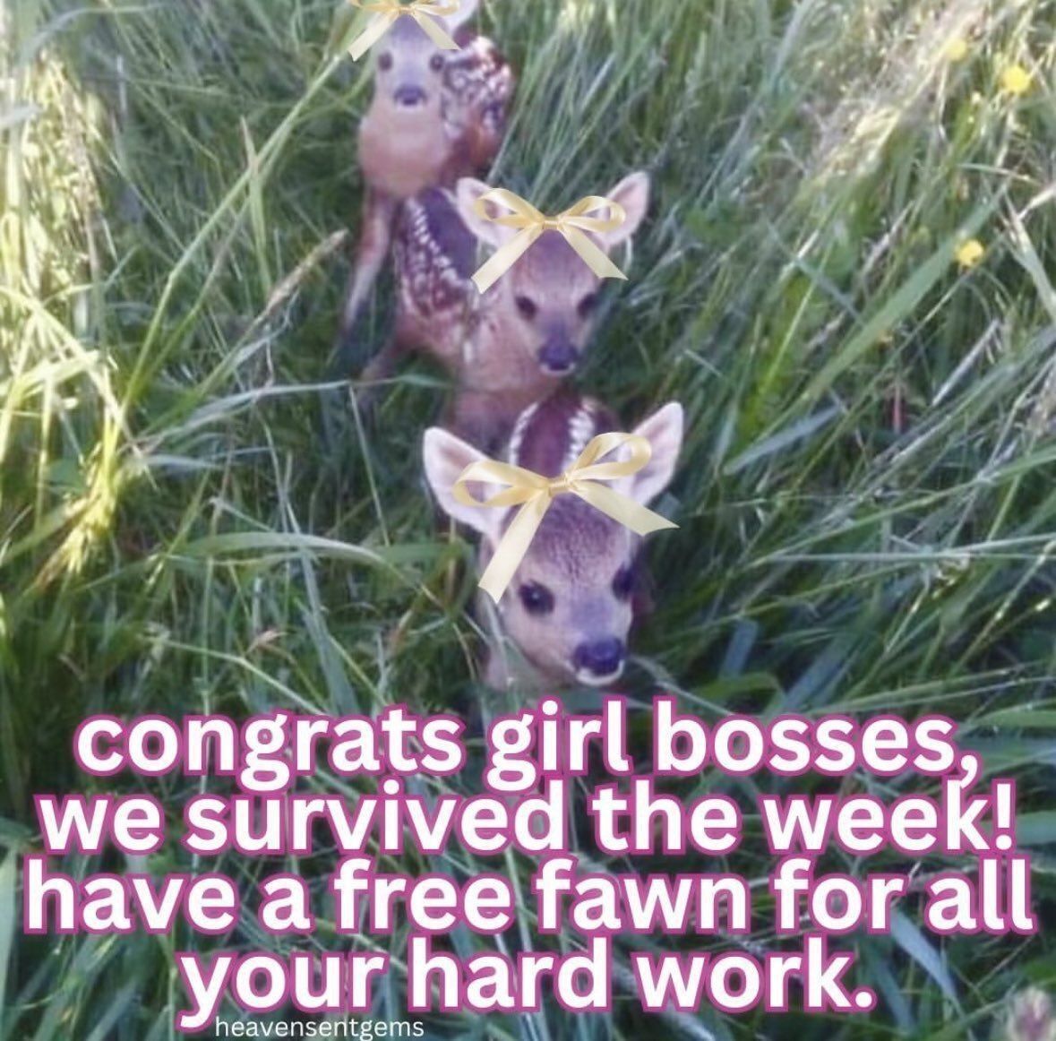 deershouldnt's tweet photo. Good morning https://t.co/bQSzP9PtaD