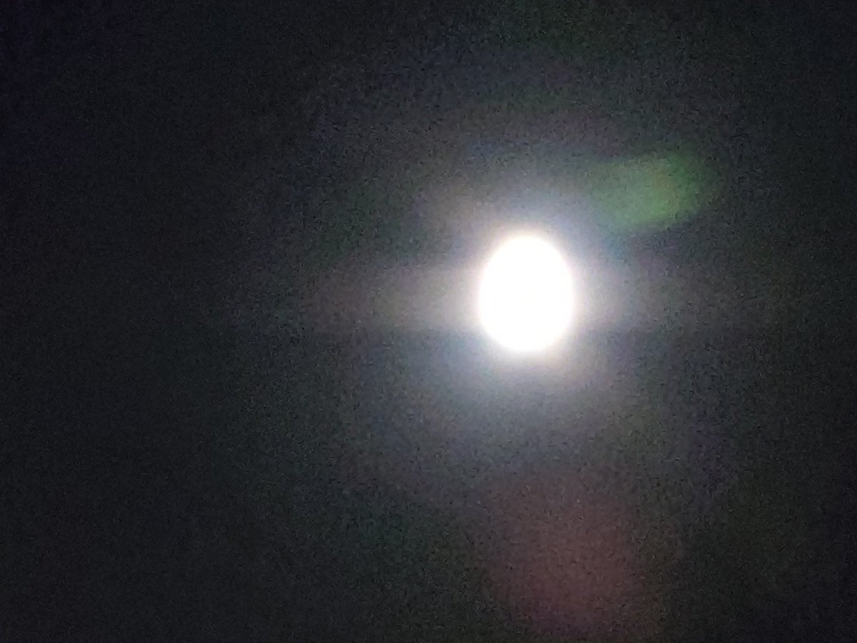tanabe__yuri's tweet photo. 一つだけ、カメラの設定を変えるだけで綺麗に撮れるとは…🌝

中秋の名月でございますなぁ🍡 https://t.co/nSjYsSqmhh