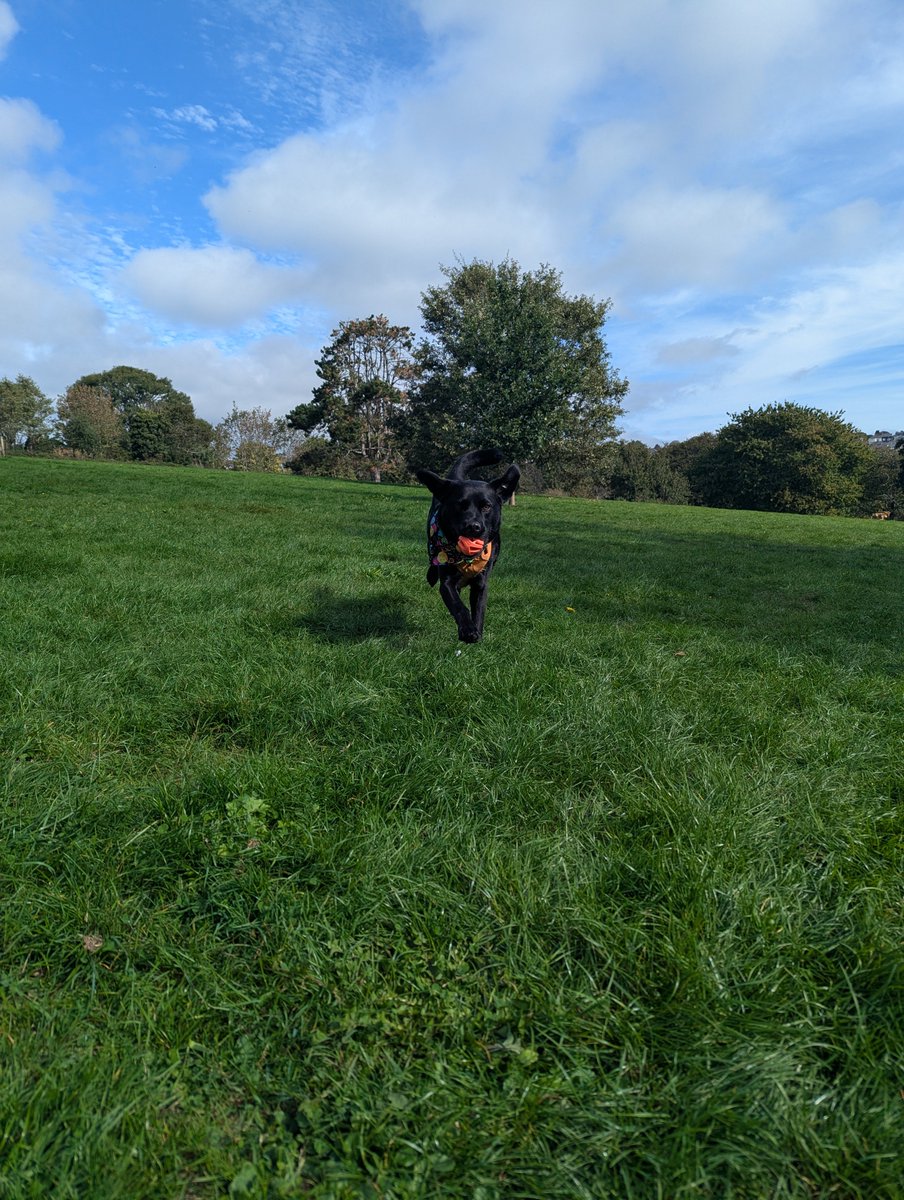 ablacktale's tweet photo. Yippee I'm 8 today 😁 https://t.co/ciG0ELymLR