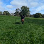 Photo by Barney (@ablacktale)