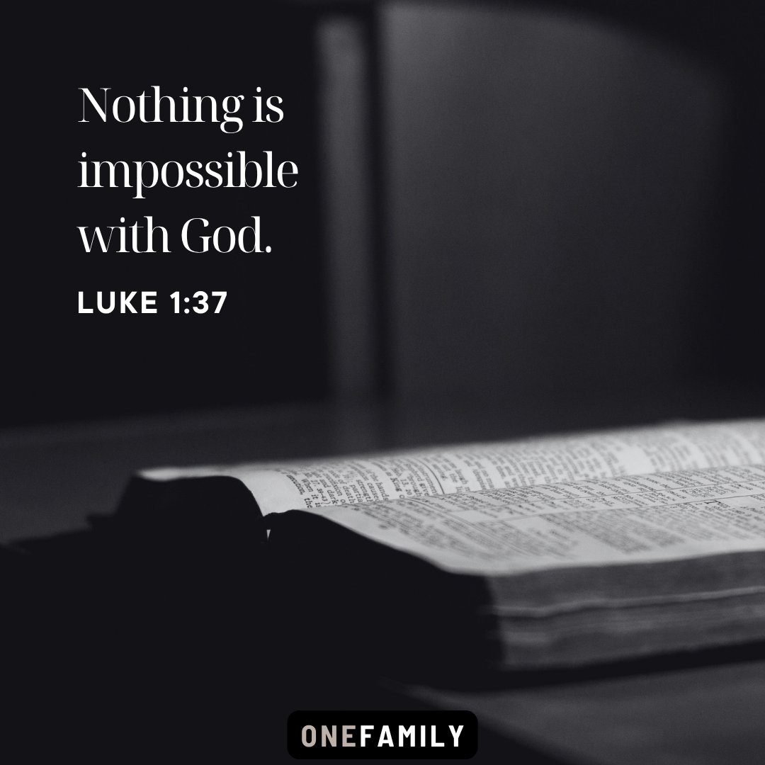 GrowingFamAZ's tweet photo. Discover more at https://t.co/Xo5skh0D5a  

Follow us on the OneFamily Podcast: https://t.co/nt4FMFWnfp  

#onefamilyhwl #familylife #photoaday #podcast https://t.co/p7AOWnuv62