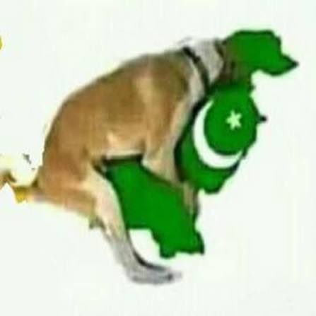 BAAP_OF_HATERS's tweet photo. @MaxBlessedup @OutOfC0ntextMMA Garib desh ke chutiye facts pe baat Karle 
Kab Tak Israel se chudta rahega https://t.co/vi9dGTqWRC