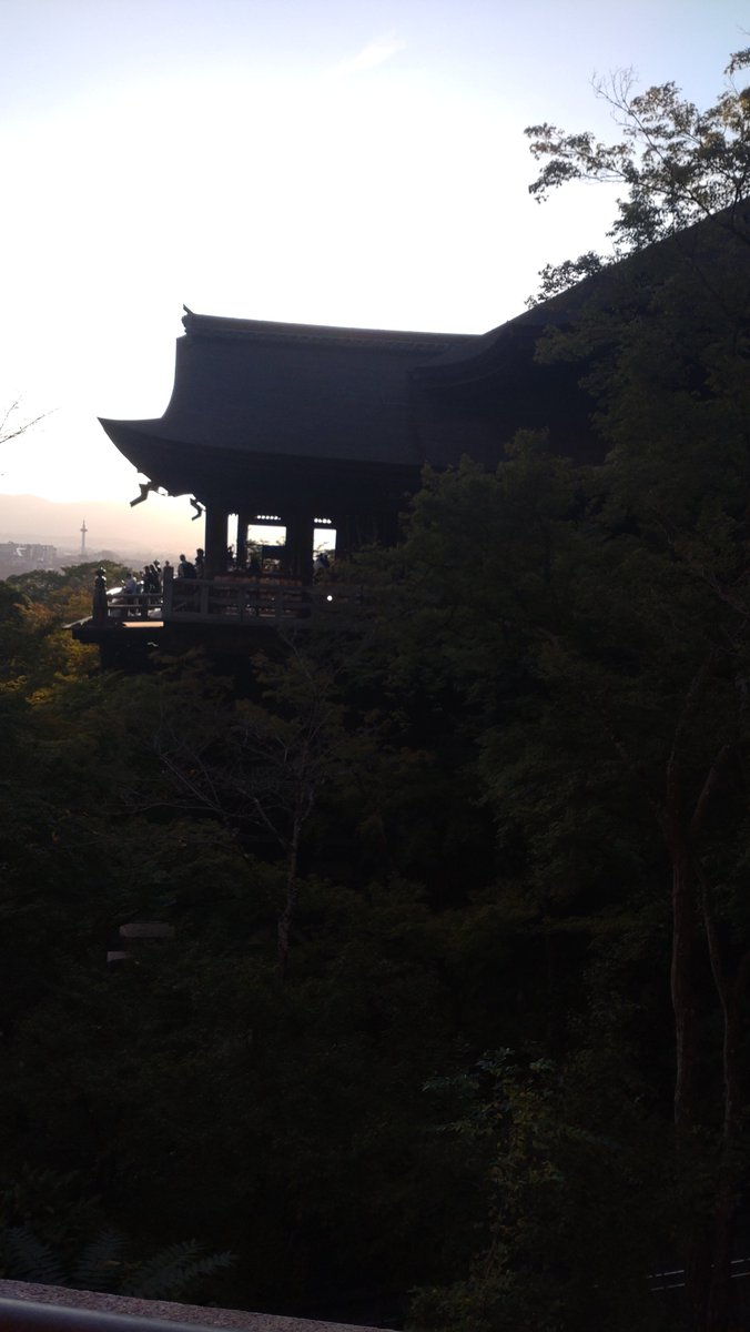utashidono's tweet photo. この3日間京都におりました！
御所や金閣寺の澄み切った空気にも歴史の余薫が残っているようですごく心地が良かった。
また行きたいなぁ🟩 https://t.co/eHWIPOIN9b
