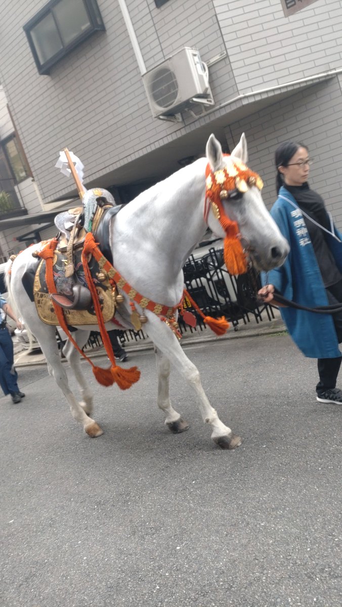 utashidono's tweet photo. この3日間京都におりました！
御所や金閣寺の澄み切った空気にも歴史の余薫が残っているようですごく心地が良かった。
また行きたいなぁ🟩 https://t.co/eHWIPOIN9b