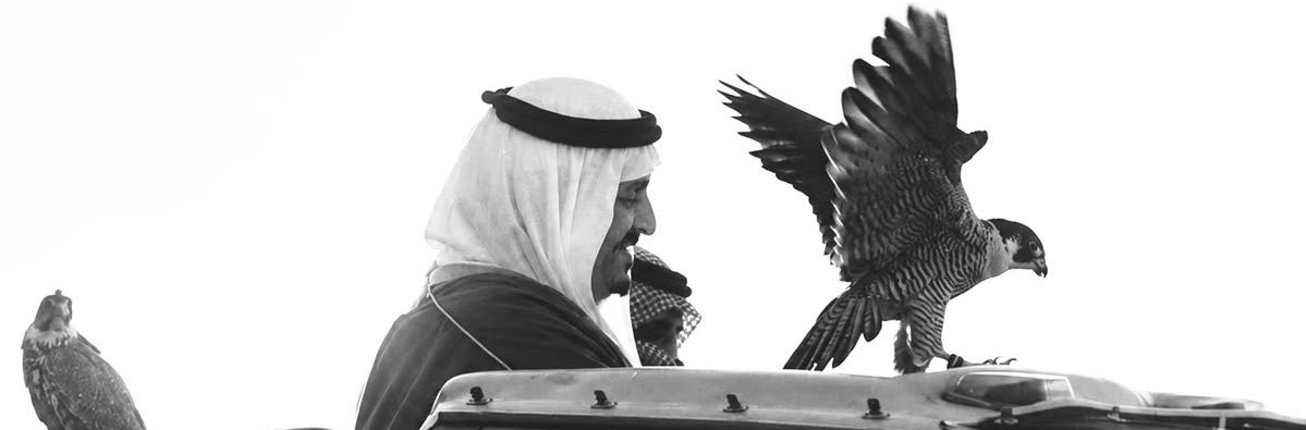 s5o_iii's tweet photo. عينها عين  اللي تتل السبوقي طير 
الحـر تلفت ——نظر كـل صقَّار
⠀
توصيفها حيّر جميع  الطروقي
الشعر فيها تاه والشاعر احتار ! https://t.co/dL7XttmQoU