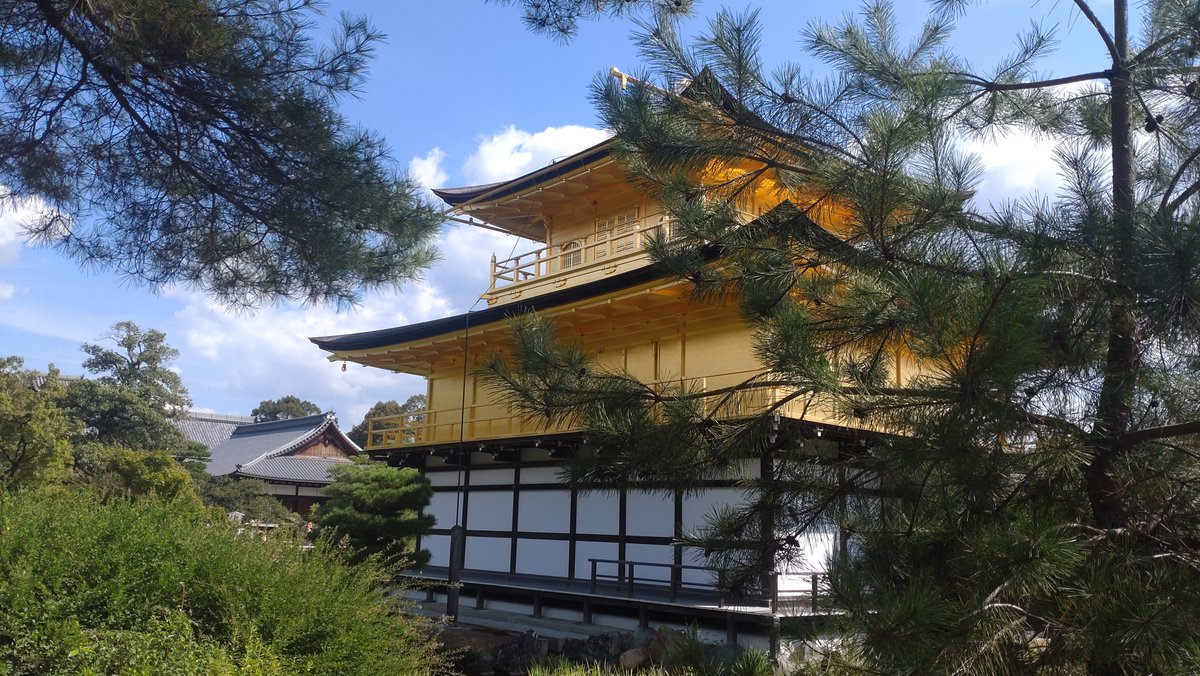 utashidono's tweet photo. この3日間京都におりました！
御所や金閣寺の澄み切った空気にも歴史の余薫が残っているようですごく心地が良かった。
また行きたいなぁ🟩 https://t.co/eHWIPOIN9b