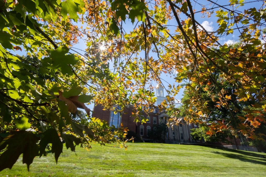 An autumnal view of Wilbur Cross as sun rays peer through turning leaves. 