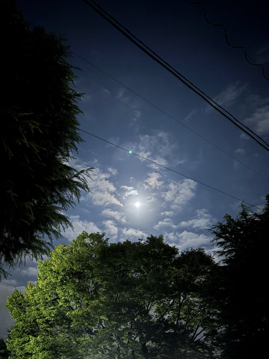 Ri84318573's tweet photo. 何も知らずに「綺麗だな」と撮った📸ら偶然にも
月🌕が小さいのはご勘弁🙏
ある名曲じゃないけど、季節に敏感にいたい
#中秋の名月 https://t.co/DfYNxCdheN