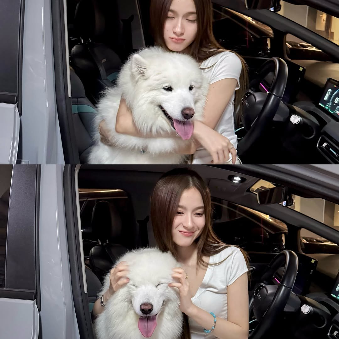 primiitrend's tweet photo. ɪɢ: ᴘʀɪᴍɪɪʟʏ ᴜᴘᴅᴀᴛᴇ

สองอ้วนน🐶

#primiily #ลูกหมีของพรีม https://t.co/OP09EnmbJn
