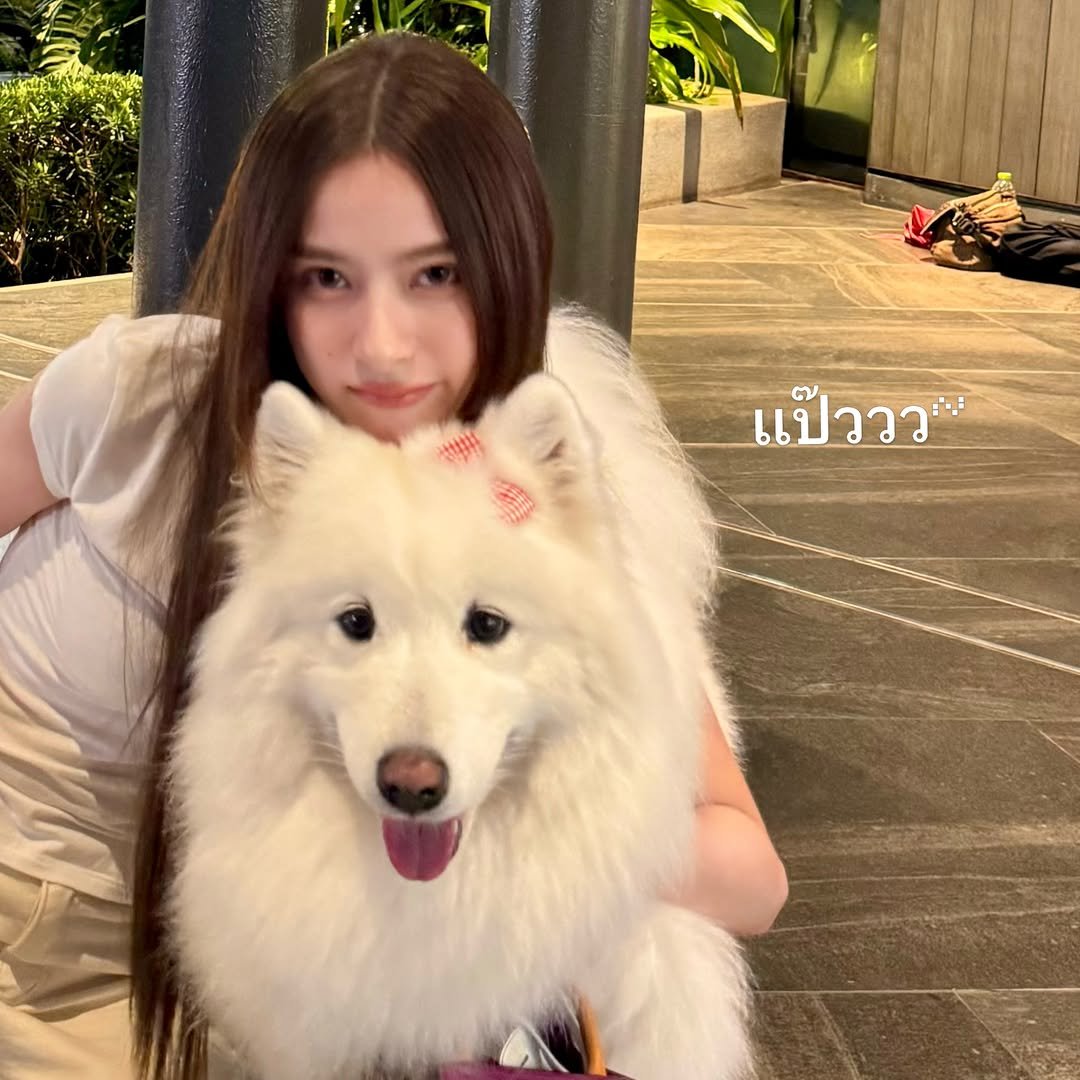 primiitrend's tweet photo. ɪɢ: ᴘʀɪᴍɪɪʟʏ ᴜᴘᴅᴀᴛᴇ

สองอ้วนน🐶

#primiily #ลูกหมีของพรีม https://t.co/OP09EnmbJn