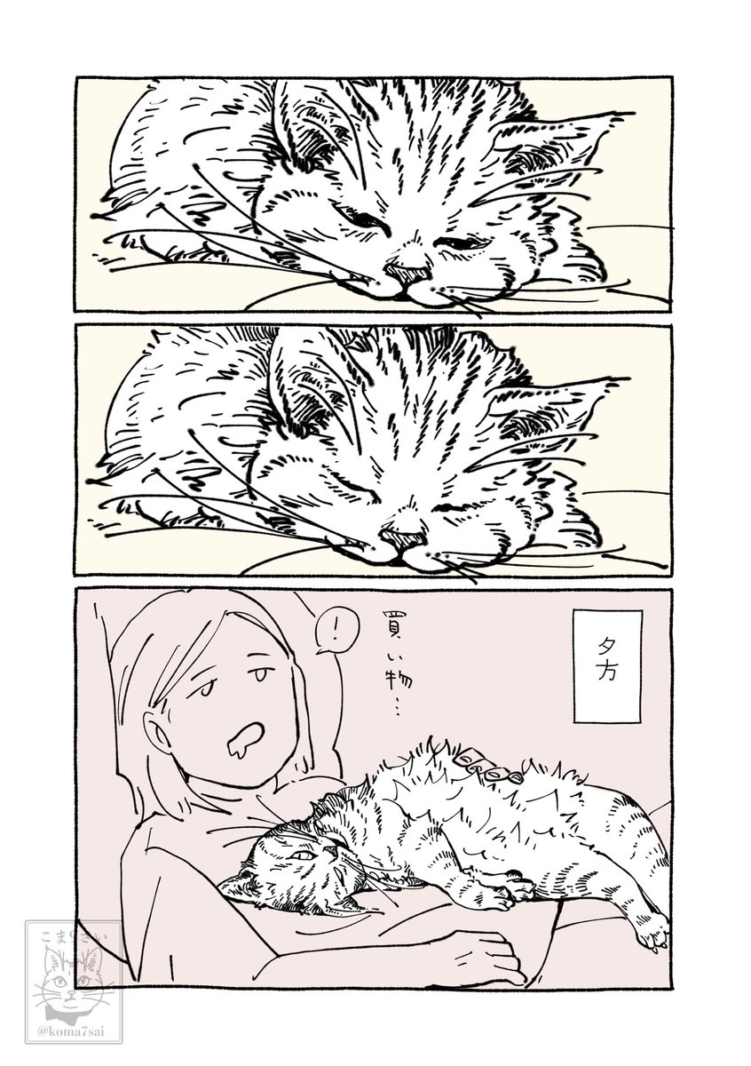 koma7sai's tweet photo. お昼寝サービス https://t.co/Smqk4YbLFY
