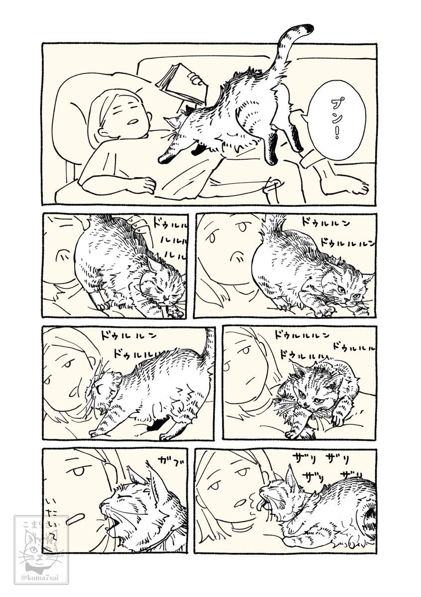 koma7sai's tweet photo. お昼寝サービス https://t.co/Smqk4YbLFY