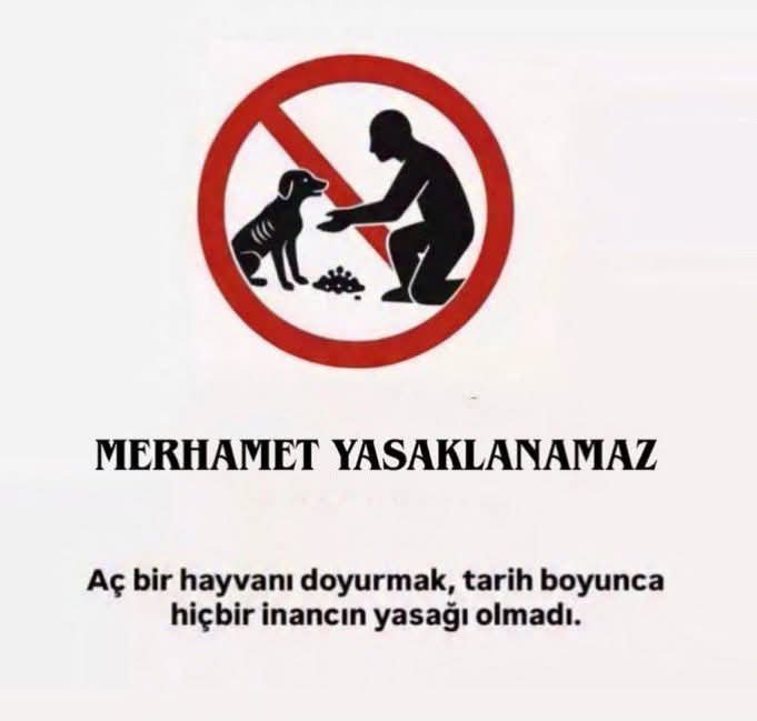 bisikletsizadam's tweet photo. ‼️Erzurumda sokak hayvanlarını beslemek yasaklandı 😡😡

Hayvan ahı almak insanın bütün hayatını alt üst eder.

Ona göre

#SokakHayvanlarıSahipsizDeğil
#BeslemeYasaklanamaz https://t.co/q8KbUorijM