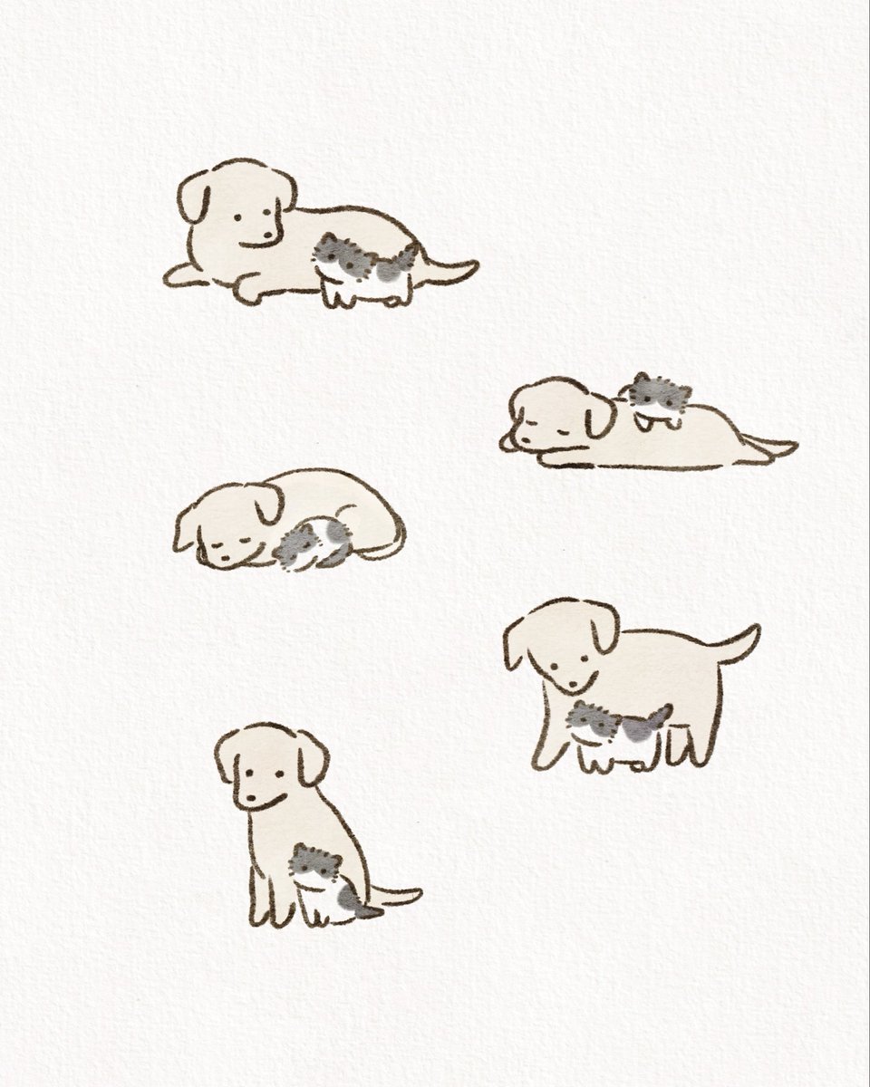 anz_m_'s tweet photo. なかよし🐶🐱
 
#イラスト #illustration #犬 #猫 https://t.co/xCzvMWKrnW