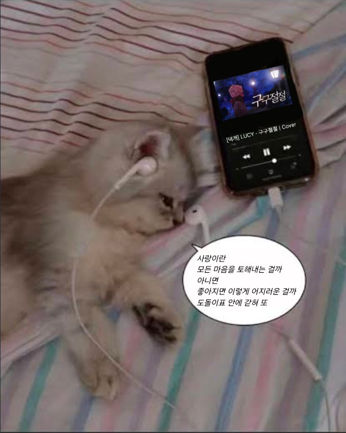 zerroo333's tweet photo. #좋은덕프있으면소개시켜줘 https://t.co/1GSo60gN4Y