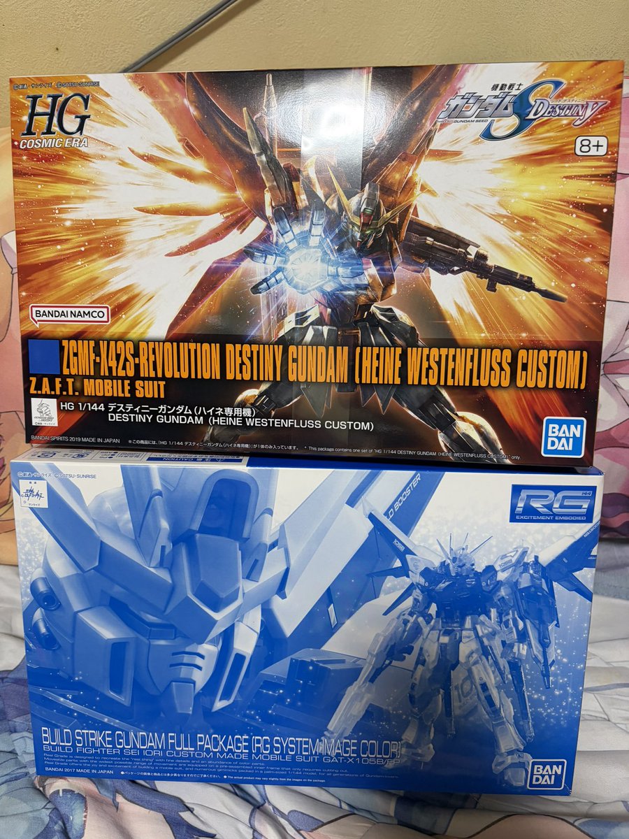 RX7770925's tweet photo. 自分への誕プレはこの2つを購入
ハイネ運命といいイニブで乗りたい機体基本25ばっか https://t.co/x4TdxnC0Ym