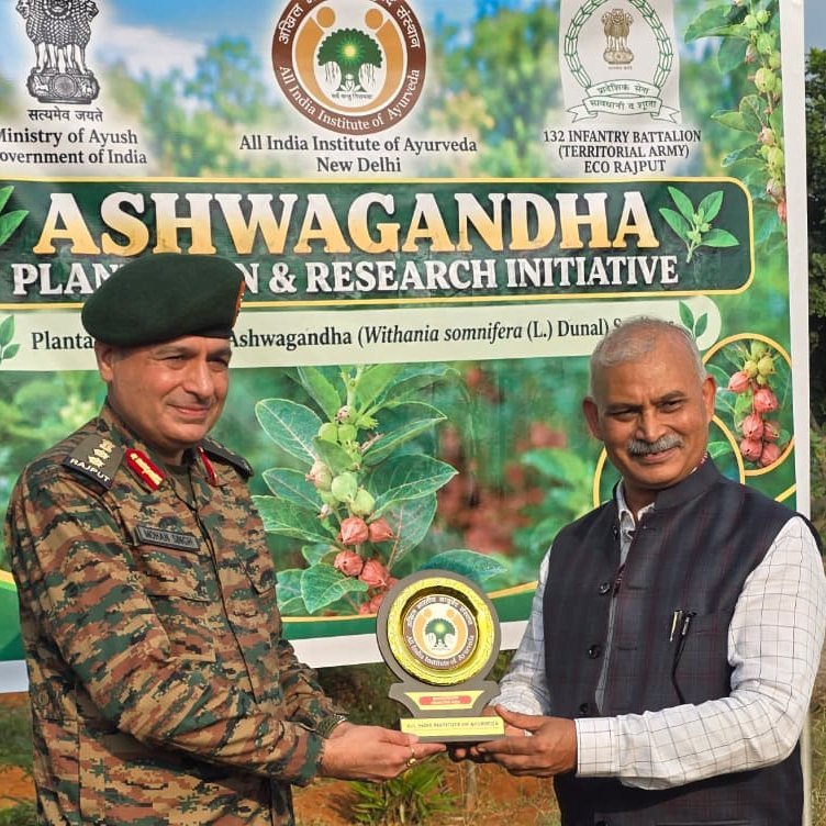 PIBAYUSH's tweet photo. @AIIA_NDelhi and 132 ECO Task Force Join Hands for Ashwagandha Plantation and Research in #Aravalli Landscape

10,000 #Ashwagandha Saplings to be Scientifically Monitored at Terriers Herbal Garden, Bhatti Mines.

Read More🔗: https://t.co/mmYtJ7h6ko https://t.co/XTOqGx0cKg