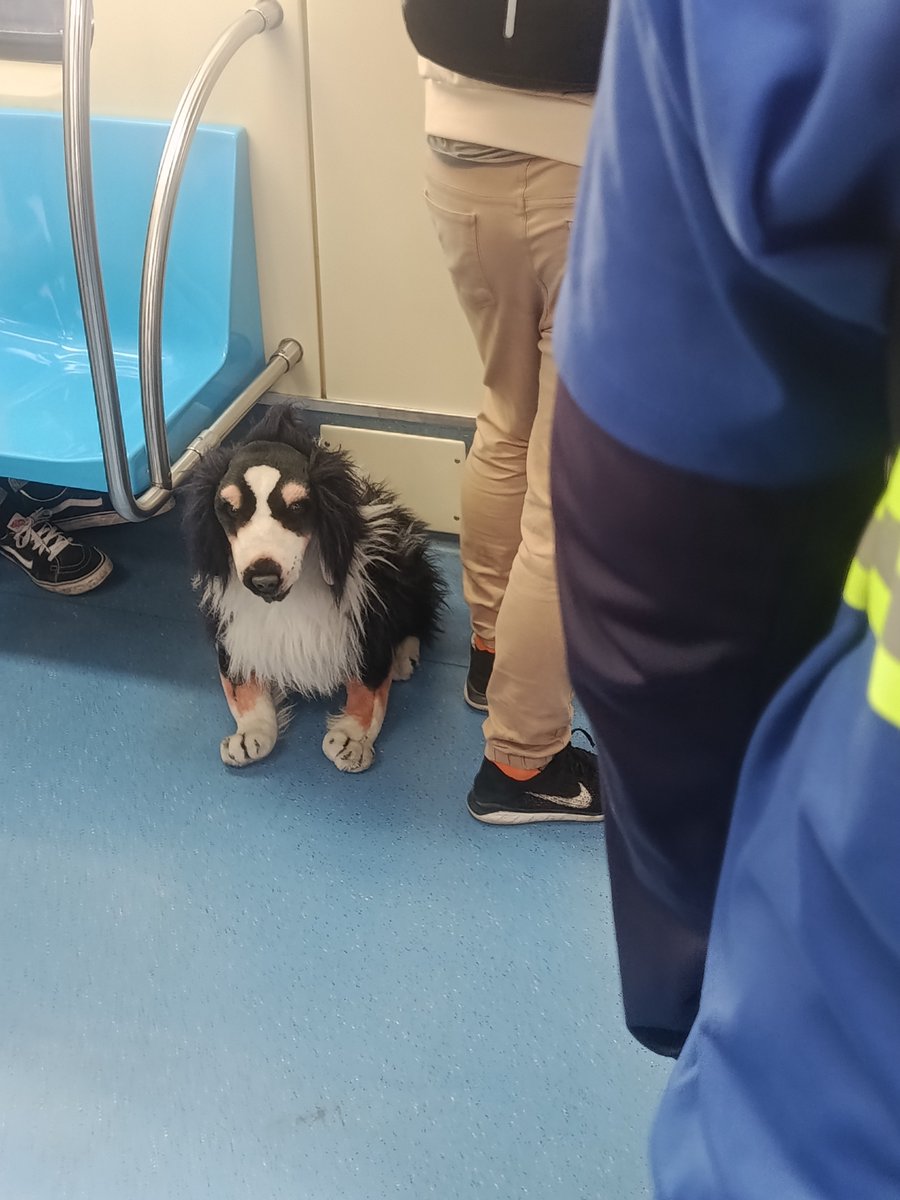 elDaHora's tweet photo. vei passei mal de rir, tem um cara com esse cachorro fake e o bicho tem uma caixa de som embutida, sempre que ele latia no vagão o cara dava um tapa KMKKMKK cidade maldita cara https://t.co/RkwrgwRH1G