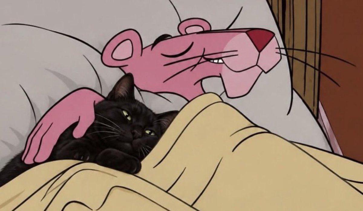 jihyocheeks's tweet photo. Me and my cat every chance we get https://t.co/BG9zanaYB5