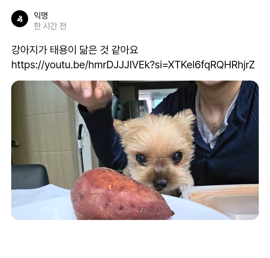 green_grape_0's tweet photo. 고구마 지키는 용이 https://t.co/WyJEiUf3Zg